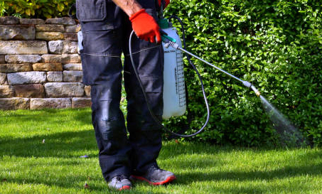 Services | CC Lawn and Garden Maintenance